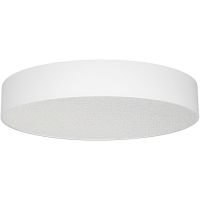 Потолочный светильник Arlight Tor Pill 022130(3) Белый — фото 1, Накладные светильники