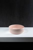 Раковина-чаша Allen Brau Fantasy Line 36 4.11032.SM Розовая — фото 14, Раковины накладные