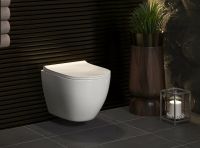 Комплект унитаза с инсталляцией Berges Okus 043282 с сиденьем Микролифт и Белой клавишей смыва — фото 21, Унитазы