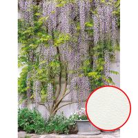 Фреска Ortograf Городской пейзаж 4075 Фактура флок FLK Флизелин (2*2,7) Зеленый/Серый/Розовый, Деревья/Цветы — фото 1, Фрески