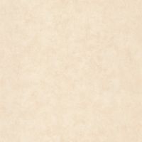 Обои Caselio Beton 2 101491460 Винил на флизелине (0,53*10,05) Бежевый, Штукатурка — фото 1, Обои для стен