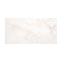 Керамическая плитка Belleza Нежность светло-бежевая 00-00-5-10-00-11-350 настенная 25х50 см — фото 1, Керамическая плитка