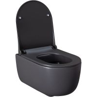 Унитаз Allen Brau Priority 4.31002.AN подвесной Антрацит без сиденья — фото 8, Унитазы