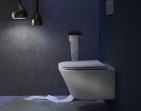 Унитаз Jacob Delafon Rodin+ EDY102-00 подвесной без сиденья — фото 2, Подвесные унитазы