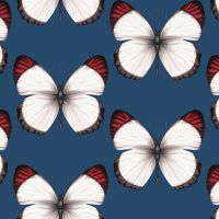 Обои Andrea Rossi Cheradi 54401-8 Винил на флизелине (1,06*10,05) Синий, Бабочки — фото 1, Обои для стен