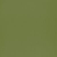 Обои детские Casadeco Rose Nino 69867313 Винил на флизелине (0,53*10,05) Зеленый, Однотонные — фото 1, Обои для стен