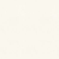 Обои Yien Feerie 3504-2 Винил на флизелине (1,06*10) Белый, Рогожка/Однотонные — фото 1, Обои для стен