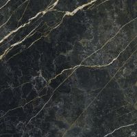 Керамогранит Baldocer Wacom Forest Pulido 60х60 см — фото 1, Керамогранит