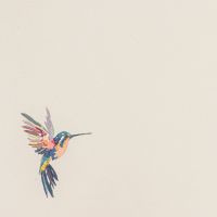 Обои Andrea Rossi Spectrum + 54356-1 Винил на флизелине (1,06*10) Белый, Птицы — фото 1, Обои для стен