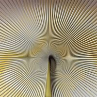 Панно Zambaiti Parati Trussardi VII 18991 Винил на флизелине (3*3) Бежевый/Желтый, Абстракция — фото 1, Обои для стен