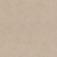 Обои RASCH Kimono 408164 Винил на флизелине (0,53*10,05) Бежевый, Однотонные — фото 1, Обои для стен
