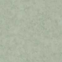 Обои Caselio Beton 2 101487332 Винил на флизелине (0,53*10,05) Зеленый, Штукатурка — фото 1, Обои для стен