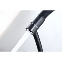 Смеситель для кухни Paulmark Siegen Si213111-418 Черный металлик — фото 2, Смесители для кухни