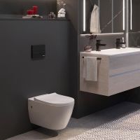 Товар: Комплект унитаза с инсталляцией Berges Novum Rimless 043217 с сиденьем Микролифт и Черной клавишей смыва - фото 7 Комплект унитаза с инсталляцией Berges Novum Rimless 043217 с сиденьем Микролифт и Черной клавишей смыва — фото 7, Комплекты унитаз + инсталляция