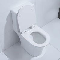 Товар: Унитаз компакт Orans 9907wm с бачком и сиденьем - фото 5 Унитаз компакт Orans 9907wm с бачком и сиденьем — фото 5, Напольные унитазы