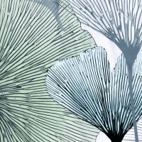 Товар: Штора для ванны WasserKRAFT Rhein 180х200 SC-62102 Белая - фото 3 Штора для ванны WasserKRAFT Rhein 180х200 SC-62102 Белая — фото 3, Аксессуары для туалета