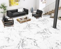 Товар: Керамогранит Arcadia Ceramica Borghini silver CR4006-A 60х60 см - фото 18 Керамогранит Arcadia Ceramica Borghini silver CR4006-A 60х60 см — фото 18, Керамогранит