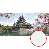 Фреска Ortograf Восток 4398 Фактура бархат FX Флизелин (3,5*1,6) Разноцветный, Архитектура/Цветы — фото 1, Фрески