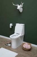 Товар: Чаша унитаза-компакта Aquanet Roll-C 210764 без бачка, с сиденьем Микролифт - фото 4 Чаша унитаза-компакта Aquanet Roll-C 210764 без бачка, с сиденьем Микролифт — фото 4, Унитазы