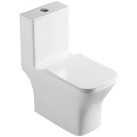 Унитаз моноблок Royce Viva RCT-151406WH с сиденьем Микролифт — фото 1, Унитазы