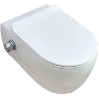 Унитаз SSWW CT2039V-B подвесной с сиденьем Микролифт — фото 1, Унитазы