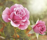 Фреска Ortograf Цветы 4331 Фактура бархат FX Флизелин (3*2,5) Розовый/Зеленый, Цветы — фото 2, Фрески