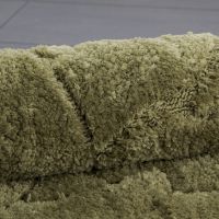 Товар: Коврик для ванной комнаты Iddis Basic 60x90 B11M690i12 Зеленый - фото 5 Коврик для ванной комнаты Iddis Basic 60x90 B11M690i12 Зеленый — фото 5, Аксессуары для туалета