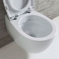 Унитаз Globo 4ALL MDS03.BI подвесной без сиденья — фото 6, Унитазы