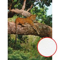 Фреска Ortograf Животные 30042 Фактура бархат FX Флизелин (2*2,7) Зеленый/Коричневый/Оранжевый, Животные/Пейзаж арт-30042 (бархат FX) — фото 1, Фрески