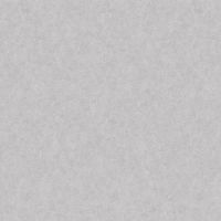 Обои LOYMINA A La Prima Pm10 008 Флизелин (1*10,05) Серый, Штукатурка — фото 1, Обои для стен