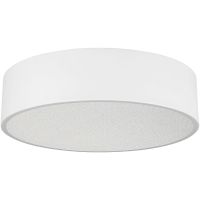 Потолочный светильник Arlight Tor Pill 022104(3) Белый — фото 1, Накладные светильники