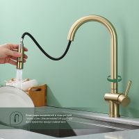 Смеситель для кухни Splenka S204.49.03 Золото матовое — фото 3, Смесители для кухни