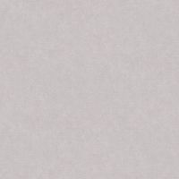 Обои AS Creation Accent 38501-4 Винил на флизелине (1,06*10,05) Серый, Штукатурка — фото 1, Обои для стен