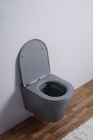 Товар: Унитаз Esbano Clavel ESUPCLAVGM подвесной Серый матовый с сиденьем Микролифт - фото 5 Унитаз Esbano Clavel ESUPCLAVGM подвесной Серый матовый с сиденьем Микролифт — фото 5, Подвесные унитазы