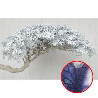 Фреска Ortograf 3D 33748 Фактура бархат серебро FX-S Флизелин (4,3*2,7) Белый/Бежевый, Деревья/Цветы — фото 1, Фрески