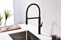 Смеситель для кухни Paulmark Leader Le214101-401 Антрацит — фото 5, Смесители для кухни