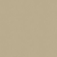 Товар: Обои Bernardo Bartalucci Palazzo 5048-2 Флизелин (1,06*10,05) Бежевый, Однотонные - фото 1 Обои Bernardo Bartalucci Palazzo 5048-2 Флизелин (1,06*10,05) Бежевый, Однотонные — фото 1, Обои для стен