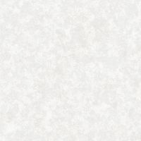 Обои Alessandro Allori Four Seasons 1608-1 Винил на флизелине (1,06*10) Серый, Штукатурка — фото 1, Обои для стен