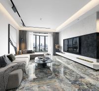 Товар: Керамогранит GlobalTile Medusa Мультиколор GT120609100PGR 60х120 см - фото 9 Керамогранит GlobalTile Medusa Мультиколор GT120609100PGR 60х120 см — фото 9, Керамогранит