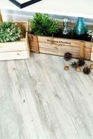 Товар: Виниловый ламинат Alpine Floor Classic Light ECO 107-88 MC Акация Click 1220х183х3,5 мм - фото 4 Виниловый ламинат Alpine Floor Classic Light ECO 107-88 MC Акация Click 1220х183х3,5 мм — фото 4, Виниловый ламинат