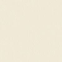 Обои Bernardo Bartalucci Ragazza 5042-1 Флизелин (1,06*10,05) Бежевый, Однотонные — фото 1, Обои для стен