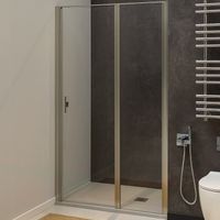 Душевая дверь Allen Brau Priority 140 3.31011.BA профиль Серебро брашированное стекло прозрачное — фото 1, Распашные душевые двери