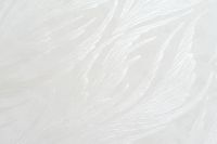 Обои Артекс Dolores 10882-01 Винил на флизелине (1,06*10,05) Белый, Листья/Абстракция — фото 4, Обои для стен