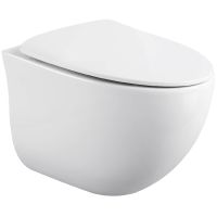 Унитаз Black&White Universe W-751 751w00 подвесной с сиденьем Микролифт — фото 1, Унитазы