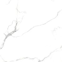 Керамогранит Absolut Gres Statuario Titan AB 1125G 60x60 см — фото 1, Керамогранит