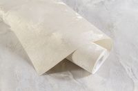 Обои Артекс The Best 3 10699-02 Винил на флизелине (1,06*10,05) Бежевый, Штукатурка — фото 3, Обои для стен