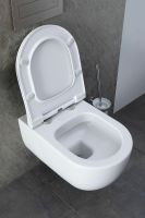 Товар: Унитаз Allen Brau Priority 4.31001.20 подвесной без сиденья - фото 39 Унитаз Allen Brau Priority 4.31001.20 подвесной без сиденья — фото 39, Подвесные унитазы