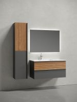 Тумба под раковину Sancos Delta 100 L DL100LGR подвесная Дуб красный Графит — фото 3, Тумбы под раковину