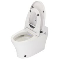 Товар: Унитаз биде Panasonic CH2720 приставной с сиденьем Микролифт - фото 4 Унитаз биде Panasonic CH2720 приставной с сиденьем Микролифт — фото 4, Унитазы