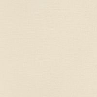 Обои Andrea Rossi Spectrum + 54353-13 Винил на флизелине (1,06*10) Бежевый, Однотонные — фото 1, Обои для стен